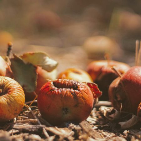 Composting