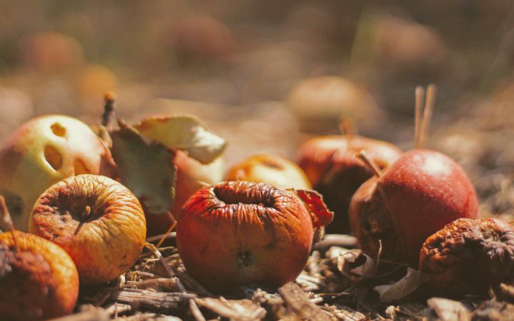 Composting